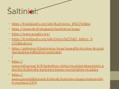 Skaidrės. Kazimieras Būga 14 puslapis