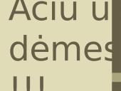 Skaidrės. Kazimieras Būga 15 puslapis