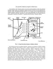 Joninės–reaktyvinės technologijos 2 puslapis