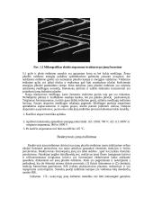 Joninės–reaktyvinės technologijos 5 puslapis