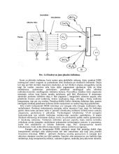 Joninės–reaktyvinės technologijos 7 puslapis
