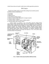 Joninės–reaktyvinės technologijos 8 puslapis