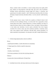 Istorijos 8 klasės kontrolinis darbas apie Mindaugą, kryžiaus žygius ir bažnyčios krizę 2 puslapis