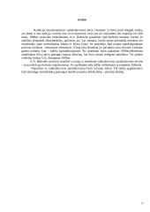 Jonizuojančios spinduliuotės poveikis žmogaus organizmui ir apsauga 2 puslapis