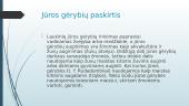 Jūros gėrybės (skaidrės) 3 puslapis