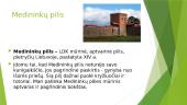 Medininkų ir Marienburgo pilis 2 puslapis