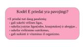 E priedai 2 puslapis