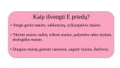 E priedai 3 puslapis