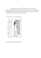 Jonizuojantys spinduliai ir jų keliamas pavojus organizmui 11 puslapis
