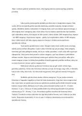 Jonizuojantys spinduliai ir jų keliamas pavojus organizmui 15 puslapis