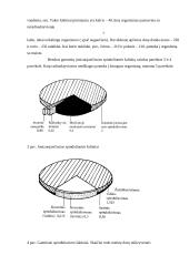 Jonizuojantys spinduliai ir jų keliamas pavojus organizmui 7 puslapis