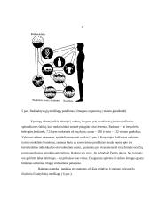 Jonizuojantys spinduliai ir jų keliamas pavojus organizmui 8 puslapis