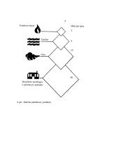 Jonizuojantys spinduliai ir jų keliamas pavojus organizmui 9 puslapis