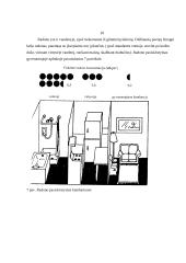 Jonizuojantys spinduliai ir jų keliamas pavojus organizmui 10 puslapis