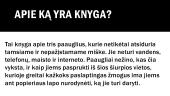 Knygos pristatymas „Tinklas“ 3 puslapis