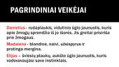 Knygos pristatymas „Tinklas“ 4 puslapis