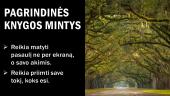 Knygos pristatymas „Tinklas“ 5 puslapis
