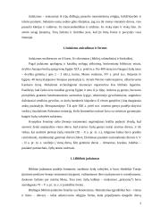 Judaizmas 3 puslapis