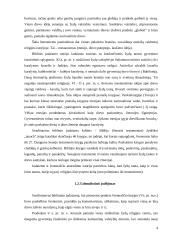 Judaizmas 4 puslapis