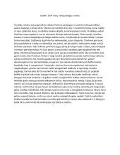 Dobilė. 1954 metų naktį pabaigos analizė