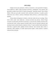 АB „Žemaitijos pienas“ konkurеncinio prаnаšumo vеrtinimаs 15 puslapis