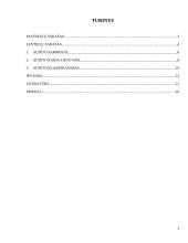 Audito sistema Lietuvoje