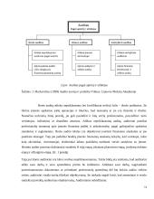 Audito sistema Lietuvoje 10 puslapis