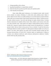 Audito sistema Lietuvoje 11 puslapis