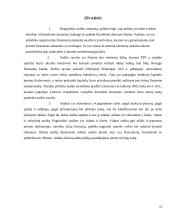 Audito sistema Lietuvoje 13 puslapis