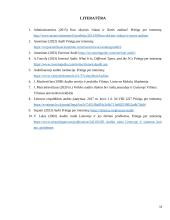 Audito sistema Lietuvoje 14 puslapis