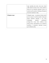 Audito sistema Lietuvoje 16 puslapis