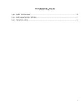 Audito sistema Lietuvoje 2 puslapis