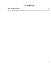 Audito sistema Lietuvoje 3 puslapis