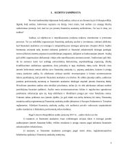 Audito sistema Lietuvoje 5 puslapis