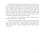 Audito sistema Lietuvoje 6 puslapis