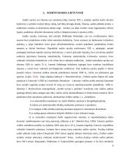 Audito sistema Lietuvoje 7 puslapis