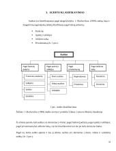 Audito sistema Lietuvoje 9 puslapis