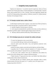 Jungtinių Tautų Organizacija (JTO) - struktūra, tikslai bei veikla 3 puslapis