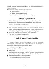 Jungtinių Tautų Organizacija bei Europos Sąjunga 12 puslapis
