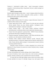 Jungtinių Tautų Organizacija bei Europos Sąjunga 13 puslapis