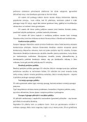 Jungtinių Tautų Organizacija bei Europos Sąjunga 14 puslapis