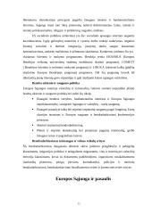 Jungtinių Tautų Organizacija bei Europos Sąjunga 15 puslapis