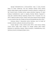 Jungtinių Tautų Organizacija bei Europos Sąjunga 19 puslapis