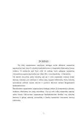 Jungtinių Tautų Organizacija bei Europos Sąjunga 20 puslapis