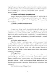 Jungtinių Tautų Organizacija bei Europos Sąjunga 6 puslapis