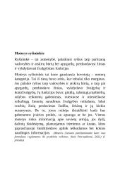 Moterys partizaniniame kare 8 puslapis