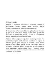 Moterys partizaniniame kare 9 puslapis