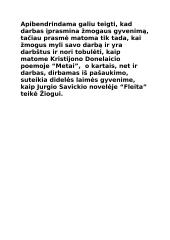 Rašinys apie darbą 3 puslapis