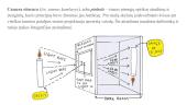 Camera Obscura - optikos atradimas 2 puslapis