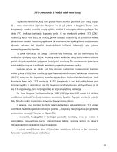 Jungtinių Tautų Organizacijos (JTO) priemonės kovojant su  terorizmu 11 puslapis